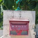 로타리 민박 이미지