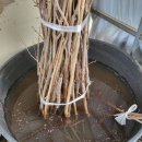 개금농장 이미지