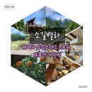 애월 in 민박 | 제주 소품샵 애월 추천 소길별하 솔찍후기 효리네민박