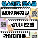 킹스키즈 개린이집 이미지