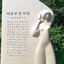 [울산출발] 9월6일(일) 봉평 메밀꽃축제 + 평창 백일홍 축제 이미지