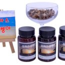 토마스농장 이미지