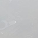 녹색산