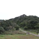 당산나무민박