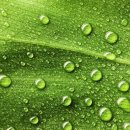 과학이야기1 이미지