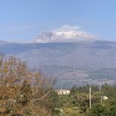 조가물민박 이미지