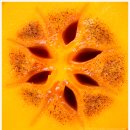 부여하늘농장 이미지