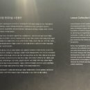 용산-현장-1126 | 리움미술관 관람기! <이불: 1998년 이후> + <리움 현대미술 소장품전> 전시🖼️ 추천합니다~~~~📣