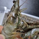 하늘부부농장 이미지