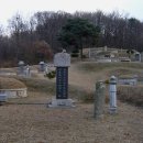 강지선생묘 이미지