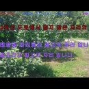 거창부동산공인중개사무소 이미지