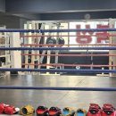 임팩트 복싱클럽 이미지