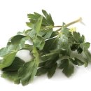 (주)성우식품 이미지