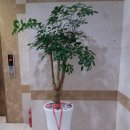 부산광역시 동구 충장대로 이미지