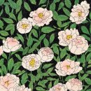 peony 이미지