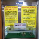 마산합포구청 이미지