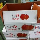 썬프레 Daum카페