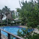 코델리아리조트 | [제주 일주일살기] 성산 코델리아리조트 가성비 숙소 야외수영장 이용 후기