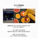 홀스앤타이거 | 8.8 온천천 카페거리 애견 동반 브런치 맛집 ‘홀스앤타이거’