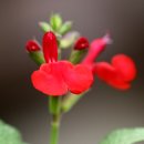 웰피트니스 배곧점 이미지