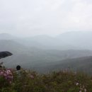 삼비산농장 네이버블로그