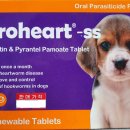 북구종로약국 이미지