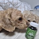 로이메디 이미지