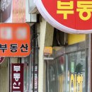 봄공인중개사사무소 이미지