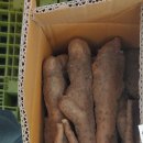 동윤농장 이미지