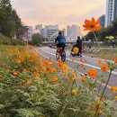 꽃길따라 이미지