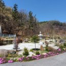 오수리석불 이미지