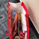 양재동 신성빌딩 | [2차면접합격]합격자가 전하는 동원에프앤비 2차 면접후기(임원면접, 최종면접)