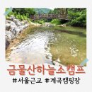 삼백의아침민박 | 양평 계곡 캠핑장 : 아이랑 캠핑 금물산하늘소캠프