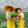 존앤폴팜스테이&파머스마켓