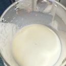 천식농장 | [청궁] 정제수 없는 발효 생강청 600g – 천식에 좋은 차 종류로 추천!