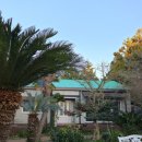 대흘샬레 이미지