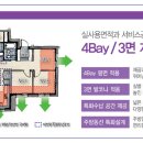 보라조경