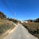 읍내리 마을회관 이미지