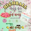 벚꽃호프