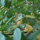 가막골농장 이미지