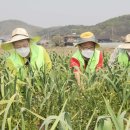 농협중앙회파주시지부 이미지