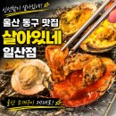 일산조개구이 | 울산 동구 맛집 친구들과 다녀온 살아있네 일산점 울산 조개구이 후기