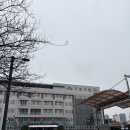 구로구청앞 | 구로구청 혼인신고 후기｜혼인신고서 작성방법까지 한 번에!