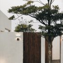 시재시재 이미지