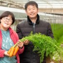 화악농장 이미지