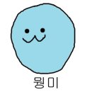 게러지나인 네이버블로그