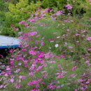 송라낚시터 이미지