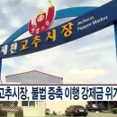 제천고추시장 이미지