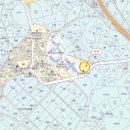 대선월드피아 이미지