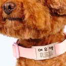 여우별공방